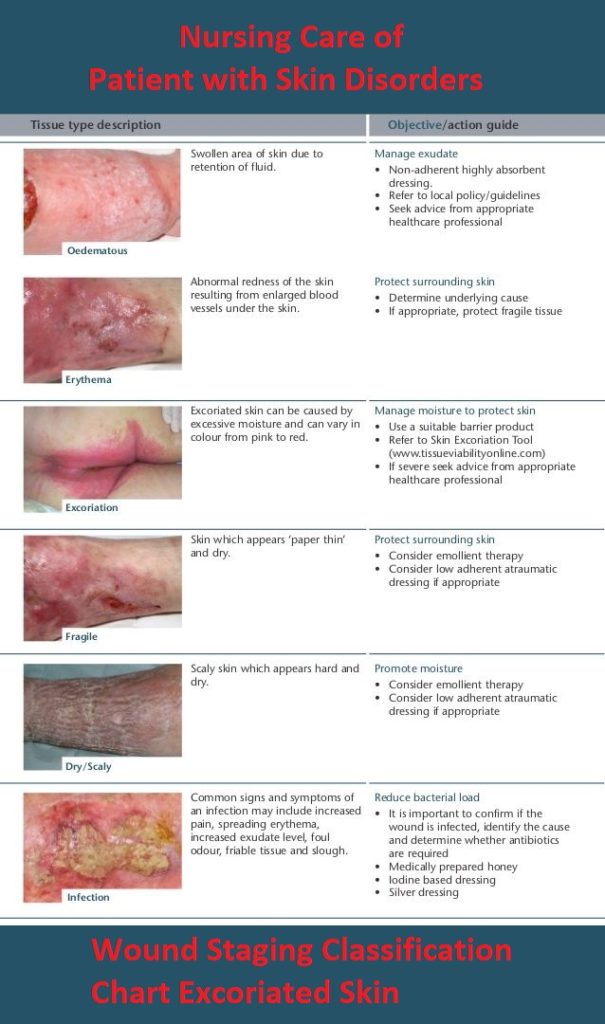 Nursing Care of Patient with Skin Disorders: Wound Staging