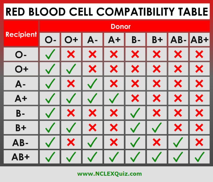 Red Shark Compatibility Chart