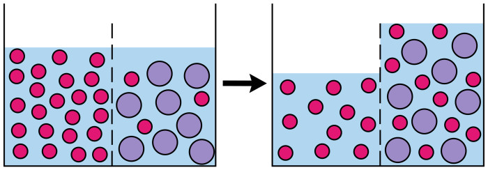 Osmosis (scheme)