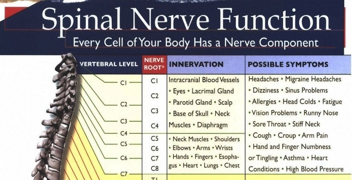 Spinal Nerve Function Chart - NCLEX Quiz