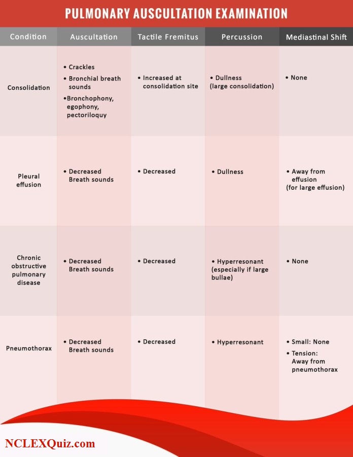 Pulmonary Auscultation Examination 