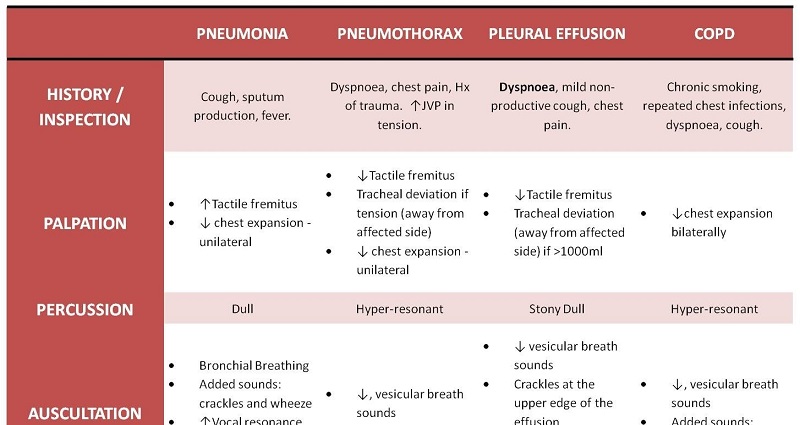 Respiratory Examination Skills Cheat Sheet - NCLEX Quiz