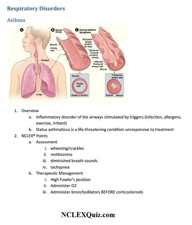 Respiratory Disorders NCLEX Points: Asthma