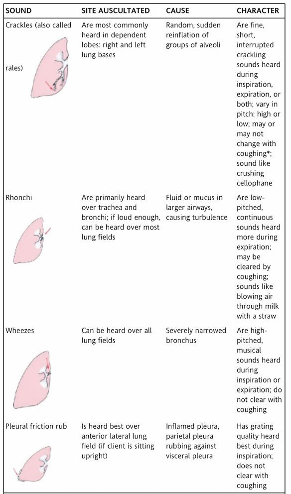Adventitious Sounds in Respiratory Assessment