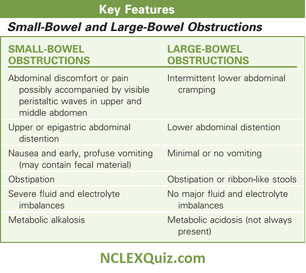 Small Bowel and Large Bowel Obstructions Key Features
