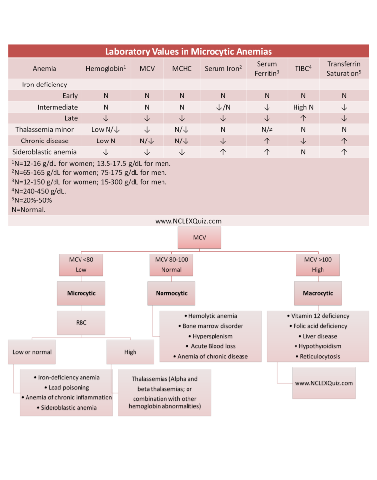 Laboratory Values in Microcytic Anemias Cheat Sheet NCLEX Quiz