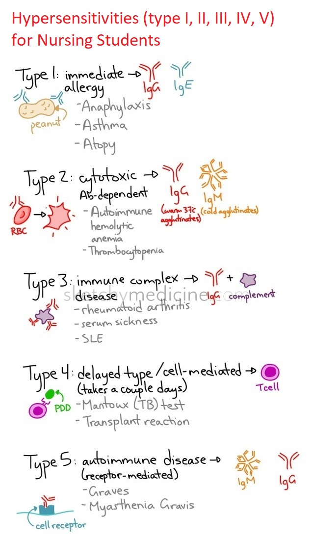 Hypersensitivities (type I, II, III, IV, V) for Nursing Students