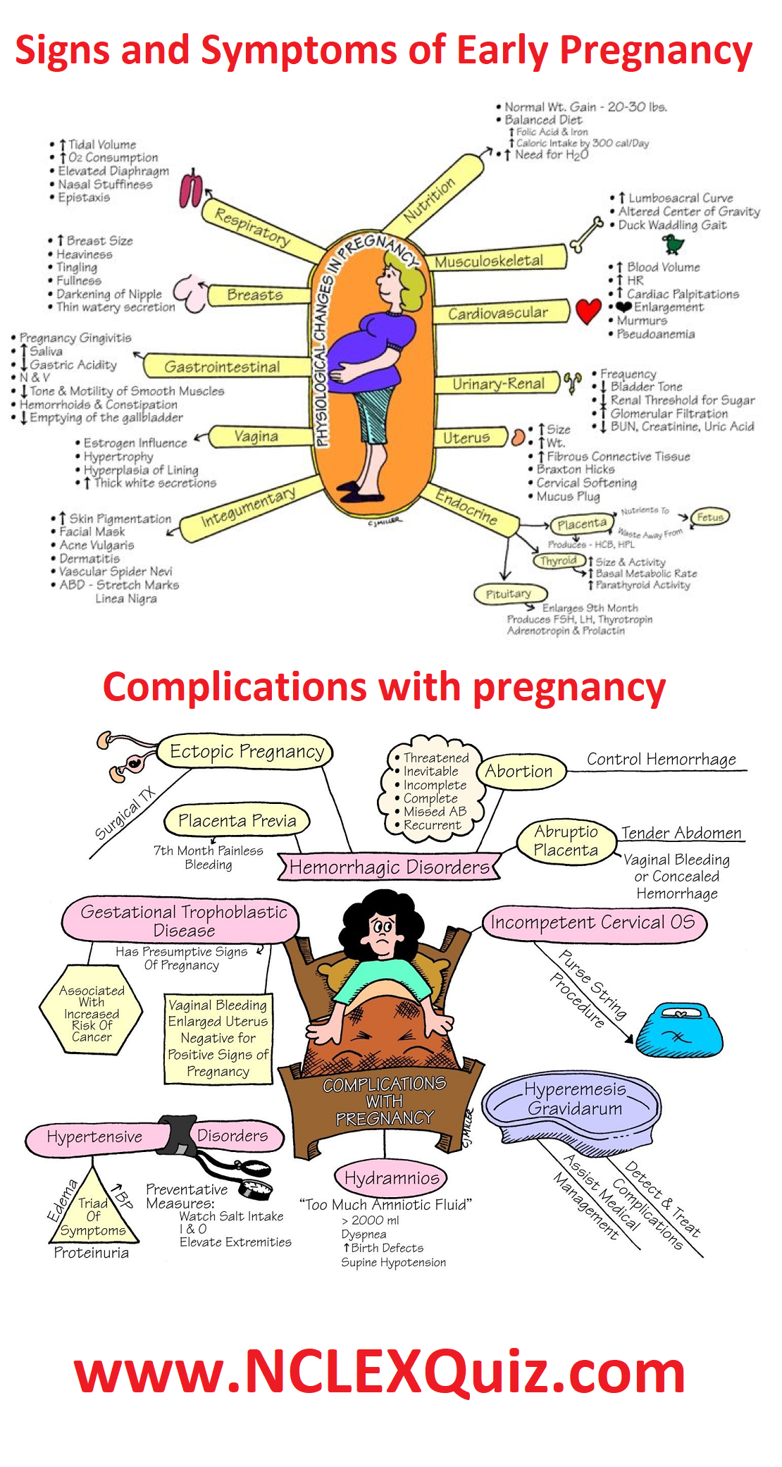 OB Nursing Cheat Sheet: Changes in Pregnancy