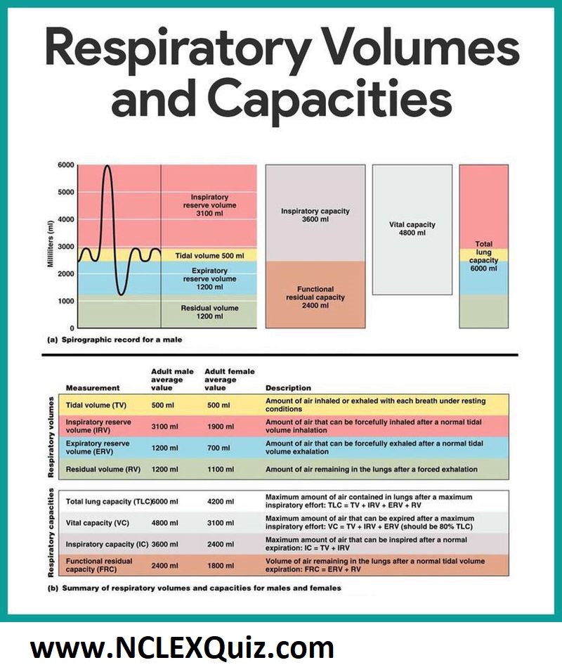Summary of Respiratory Volume and capacity for Males and Females