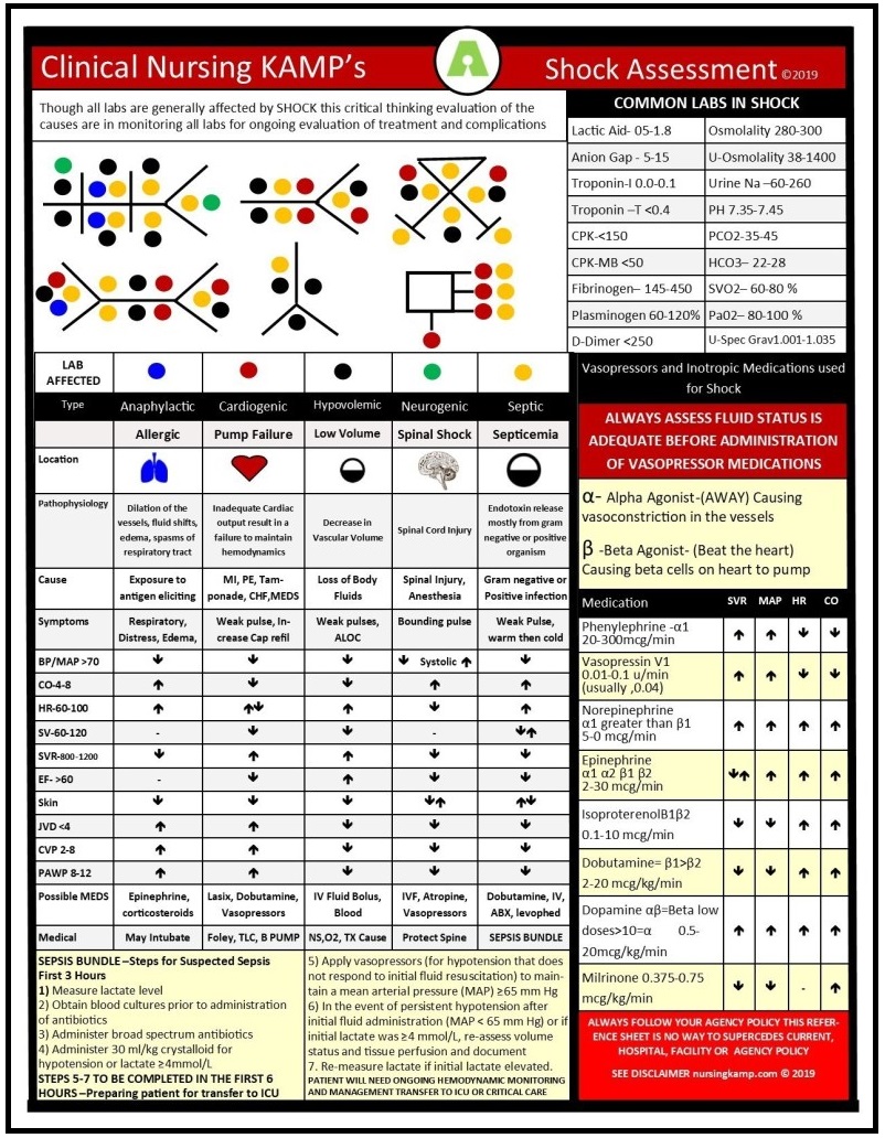 Clinical Assessment of Shock Nursing Clinical Cheat Sheet NCLEX One Page Study