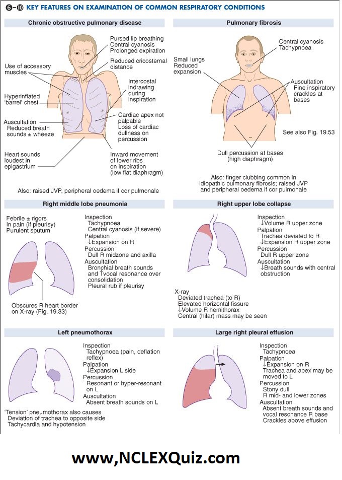 Key Features On Examination Of Common Respiratory Disease