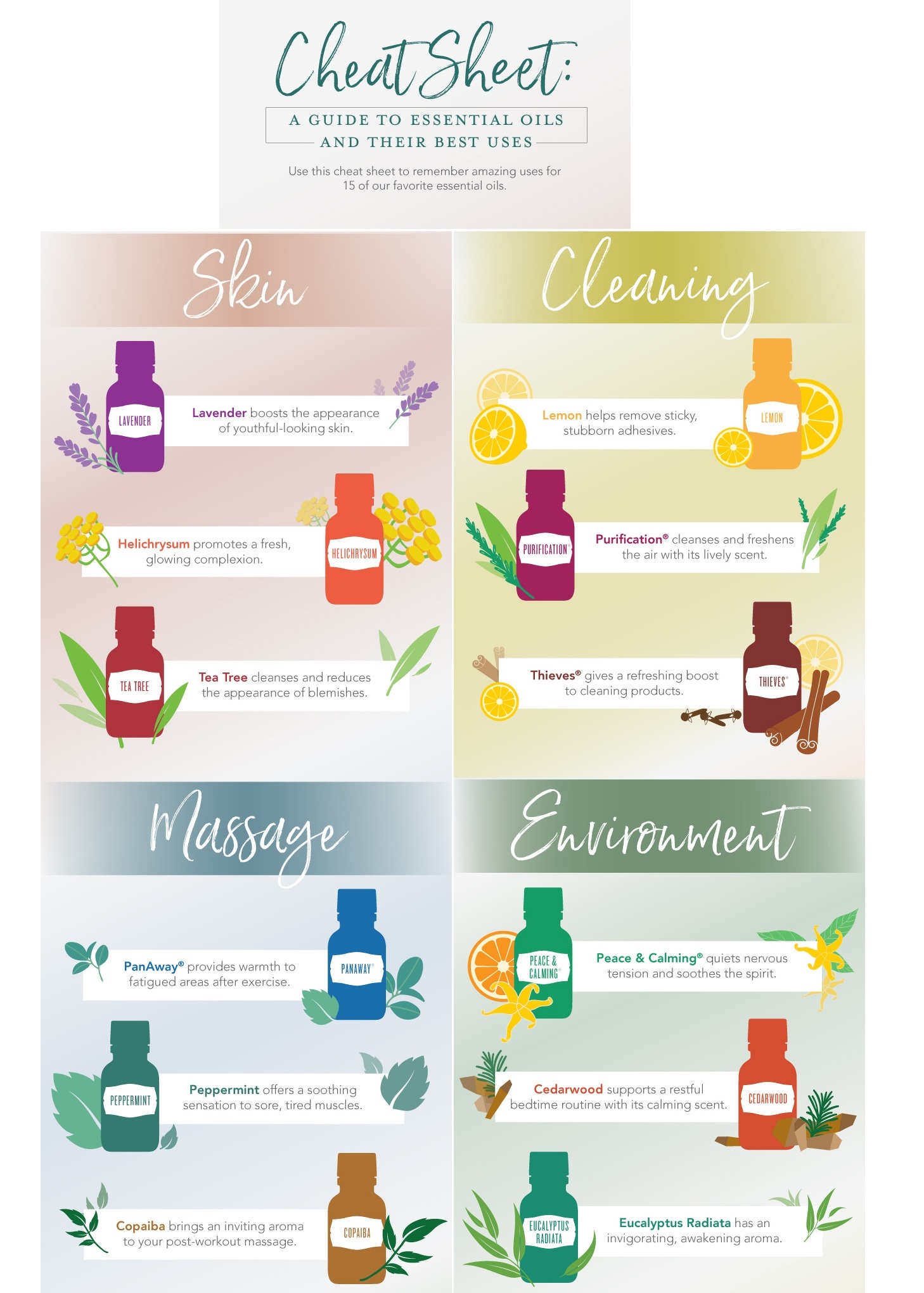 Cheat sheet: A guide to essential oils and their best uses
