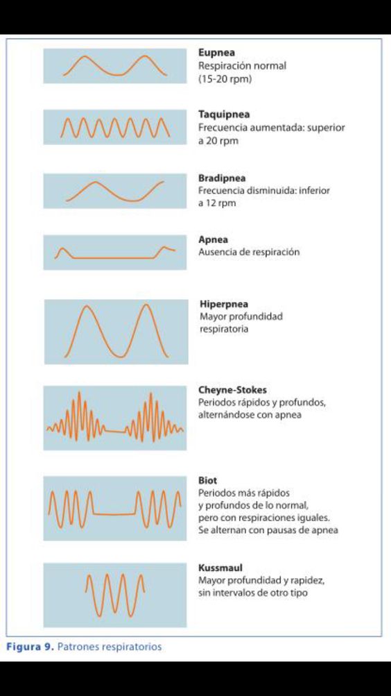 Tipos de Patrones Respiratorios: PATRONES RESPIRATORIOS ANORMALES