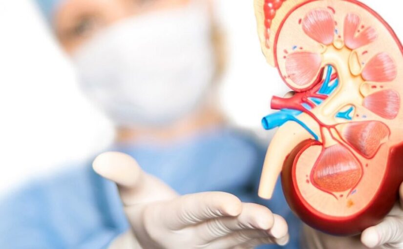 A nurse assessing a patient with renal disease, checking their understanding of proper diet during hemodialysis treatment