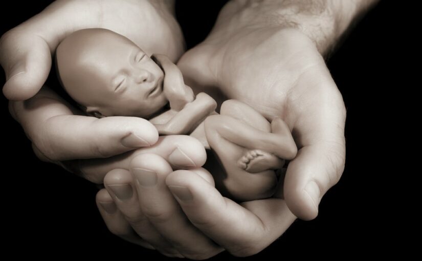Spontaneous Abortion Nursing Management